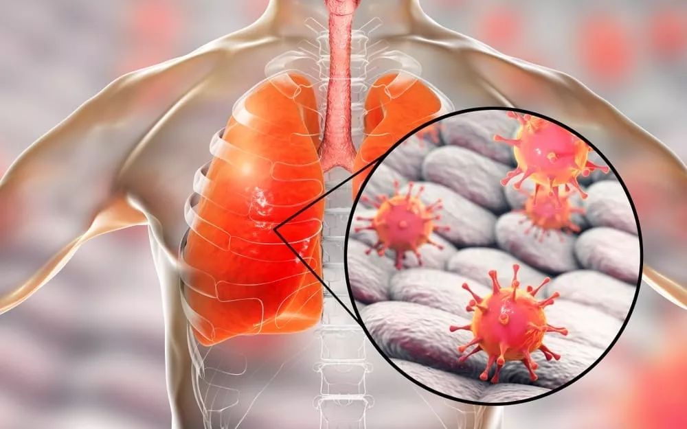 详细阅读:旺财28赛事意大利杯赛程吃紧;里尔赛后调整名单;媒体盛赞;医务组通报恢复的简单介绍 旺财28赛事意大利杯赛程吃紧;里尔赛后调整名单;媒体盛赞;医务组通报恢复的简单介绍